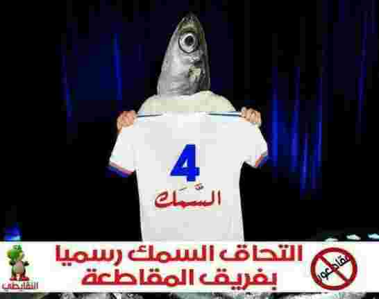 رئيس كونفدرالية الصيد البحري بالمغرب يقصف بالثقيل ويكشف عن الثمن الحقيقي لسمك السردين