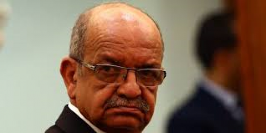 مساهل يؤكد حرصه الكبير على مصالح الحراقة الجزائريين