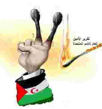 متى كانت البوليساريو هي الممثل الوحيد للصحراويين في الساقية والوادي ؟