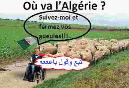 عيسى يحذر الأئمة من الخوض في موضوع هردة بوتفليقة الخامسة