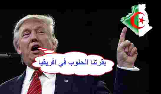 مساهل يصف العلاقات الجزائرية الأمريكية بـ "الإستثنائية"