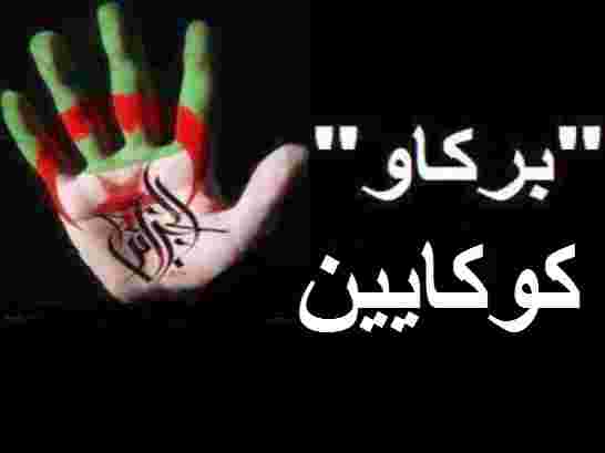 هل يعمل بوتفليقة على تكديس سلاح الكوكايين في الجزائر لِيَغْزُوَ  بِهِ المغرب وفرنسا ؟