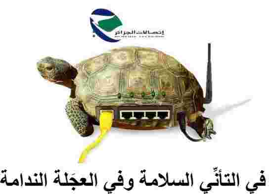 جزائر القوة التنكيتية في ذيل ترتيب الدول من حيث سرعة الانترنت