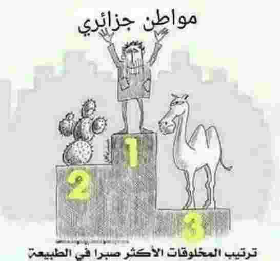 جزائر الفقراء… العاملات المنزليات أو تلك المأساة المنسية