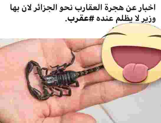 زبلاوي طبيب البراري