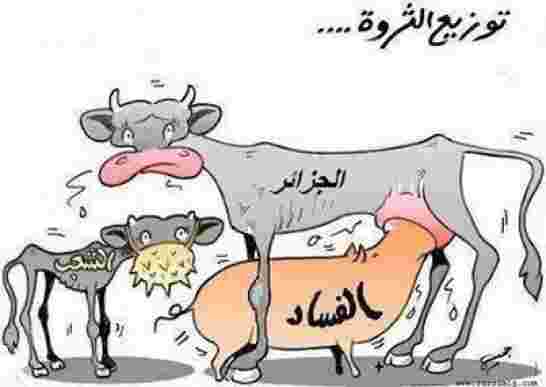 مقري معركة الجزائر الحقيقية هي معركة الوعي السياسي وليست العنتريات العبثية”