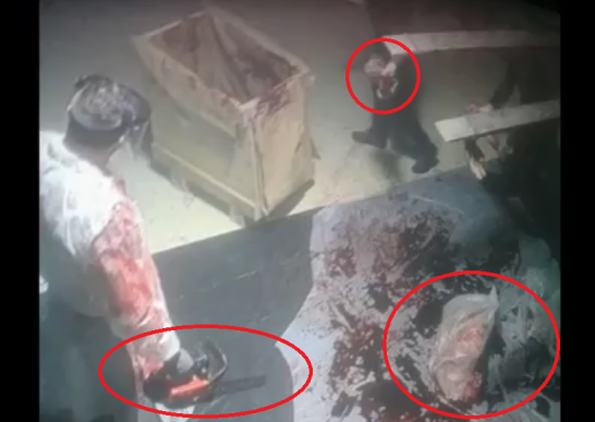صادم ومروع صور مسربة للحظة تقطيع جثة جمال خاشقجي