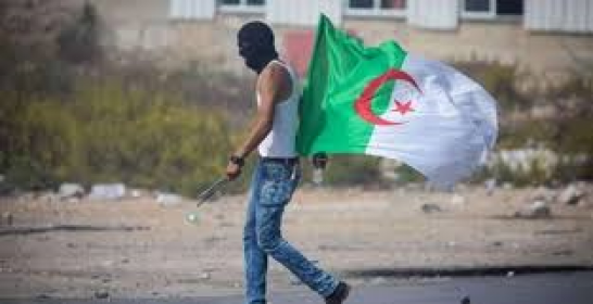 جزائر الغد هي جزائر الثقافة