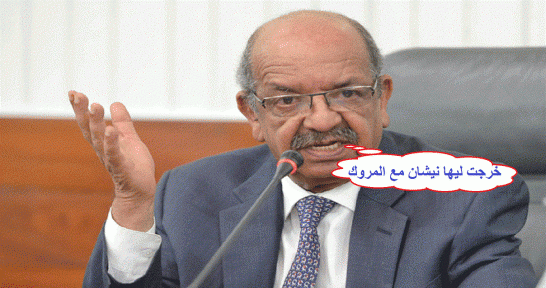 مساهل يصرح في جنيف "جينا  نظحكو شي شويا " مثلما ضحكنا على الشعب الجزائري طيلة 56 سنة