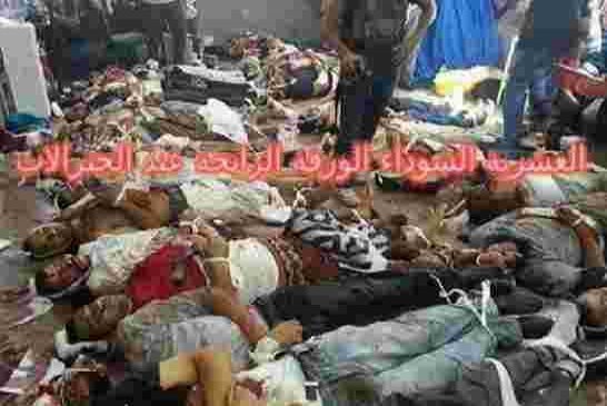 يا قايد صالح لا تضع الاستقرار في كف والمطالبة بالعيش الكريم والمساوات في الكف الأخر