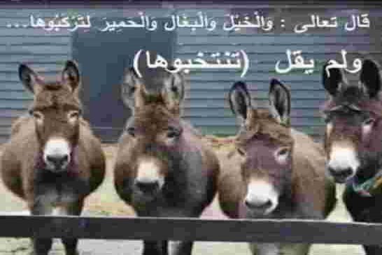 الكلمة الأخيرة لحكمة الشعب الجزائري والتاريخ