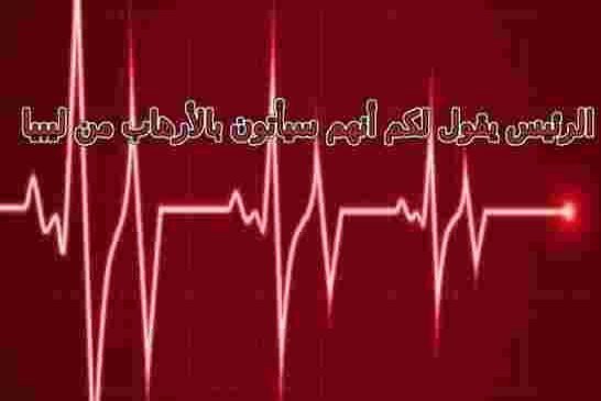 خبير من الموزمبيق يتدخل في شؤون الجزائر ويحول خطاب بوتفليقة لخطاطة نبضات قلب الرئيس إلى كلمات