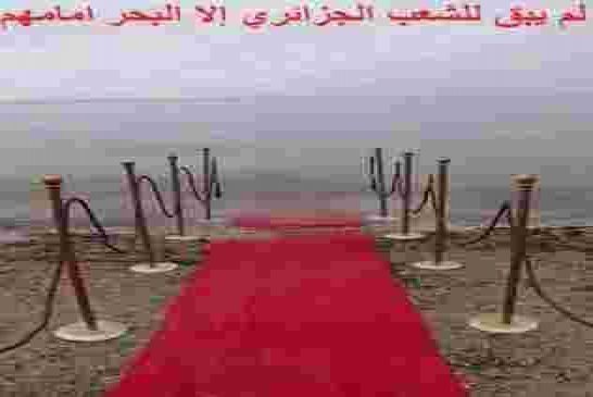 ردود قوية من الشارع الجزائري لوجوه العصابة البخس بعد تأجيل الاٍنتخابات واٍنسحاب بوتفليقة