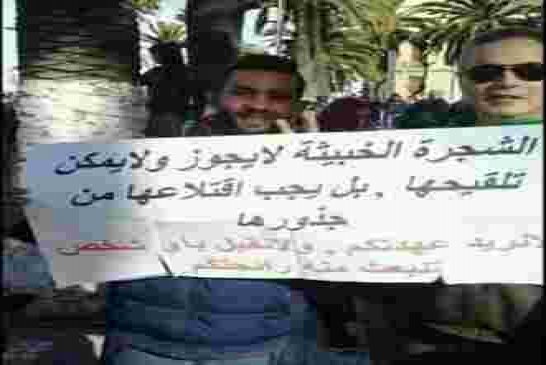 واشنطن بوست: تنازلات بوتفليقة ليست كافية