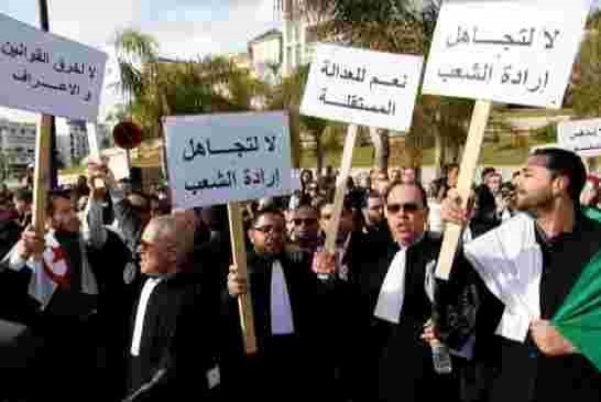 قضاة الجزائر يرفضون تطبيق الأوامر الفوقية لسلطة العصابة الحاكمة