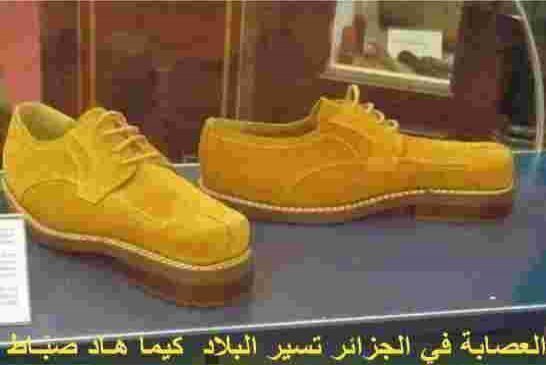 لماذا تبحث عصابة بوتفليقة عن مظلة دولية؟
