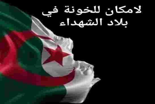 هام جدا خاوتي يجب خلق نفس جديد للحراك من حراك الى انتفاضة كل يوم لمدة 5 أيام
