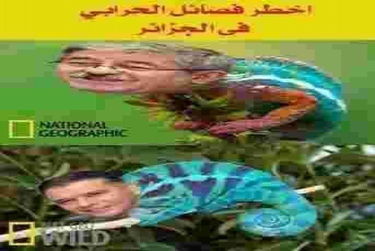 تحركات لتنحية معاذ بوشارب وأحمد أويحي