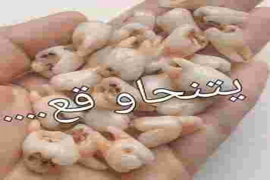 رسالة خاصة إلى القايد صالح