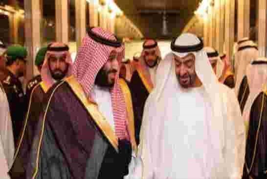المرزوقي يصف الإمارات والسعودية ومصر بمحور الشر العربي