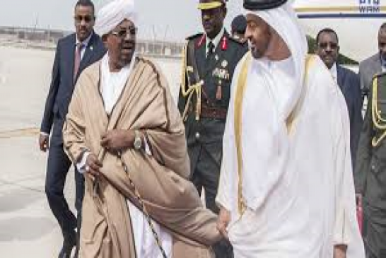 صحيفة ”الراكوبة” السودانية تكشف عن محاولة هروب البشير إلى دولة الإمارات