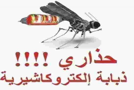 أكبر من يهدد الحراك الشعبي الجزائري هو حزب الكاشيريين الأحرار