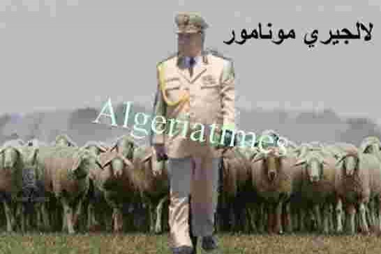 تأثير الكاشير على أنيسة بومدين يدفعها للمطالبة بترك السلطة قي يد قايد صالح