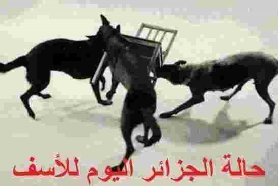 الكلاسيكو قايد صالح وتوفيق من سيفوز بالكرسي الذهبي؟