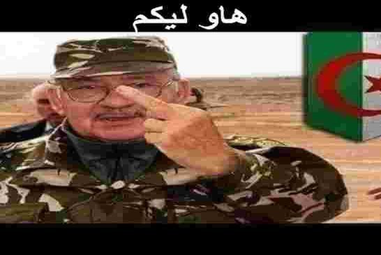 آيت لعربي يدعو قايد صالح لمحاكمة رئيس العصابة وكبار المسؤولين