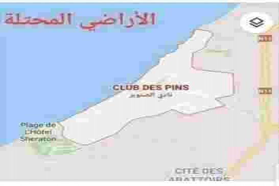 حان الوقت لتحرير نادي الصنوبر الولاية التاسعة والأربعين في الجزائر