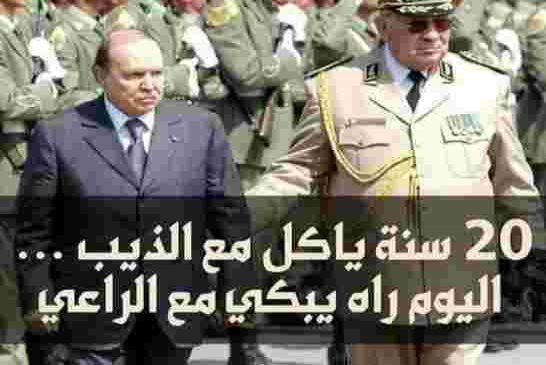الشعب الجزائري يريد رحيل النظام والقايد صالح يفعل ما يريد