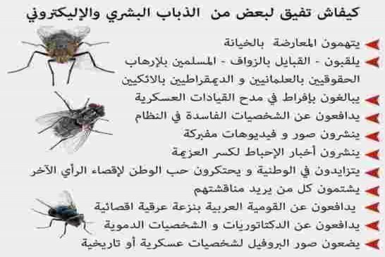هام كيف تعرف أنك ضحية الذباب الإليكتروني سواء للدفاع عن وجهة نظر معينة أو الهجوم على وجهة نظر أخرى