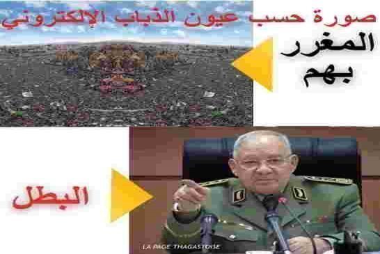 منذ استقلال الجزائر والشعب تحت رحمة عصابة وجدة