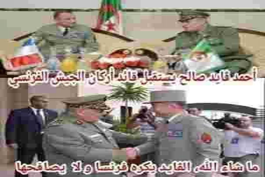 الحراك في الجزائر قنبلة إنفجرت في وجه مافيا الجنرالات الناهبة لخيرات البلاد