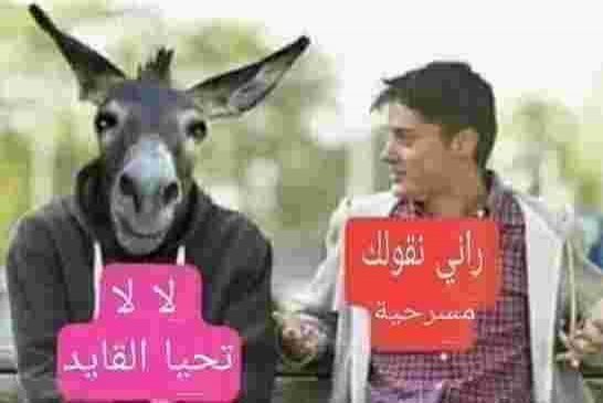 لماذا يرفض الشارع قايد صالح