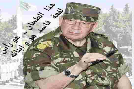 قائد العصابة قايد صالح يتهم العصابة "بالتغليط والتضليل”