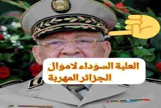 الحراك الشعبي في جمعته الـ15 يوجهون صفعة قوية لعصابة القايد صالح  ويتشبتون برحيل رموز النظام