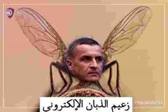 حسن عريبي يشتكي من ذباب العصابة الإلكتروني!