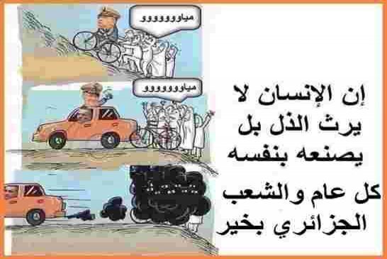 زيتوت كفانا تقديس القايد صالح
