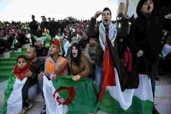 أهازيج الملاعب الجزائرية تتغنى بفلسطين