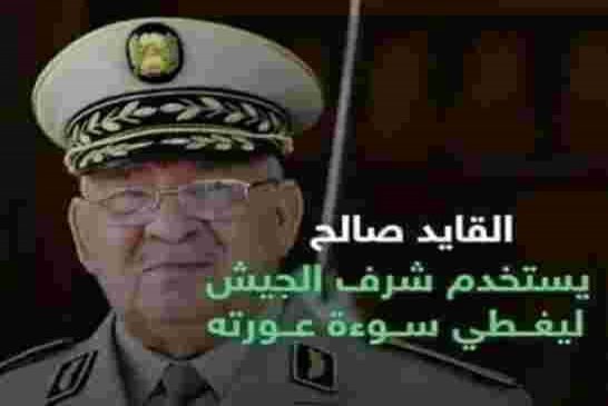 ڤايد صالح متمسك بالمخارج الدستورية والشعب يصر على تفعيل المادة 7و8
