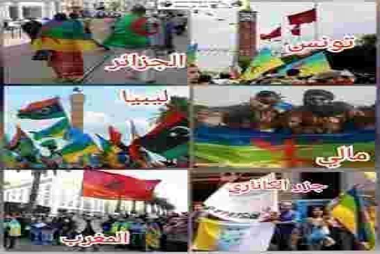 يا القايد رابعة اعدادي بربي أقنعني كيف لراية هوياتية ترفع في كل شمال إفريقيا هدفها تقسيم الجزائر