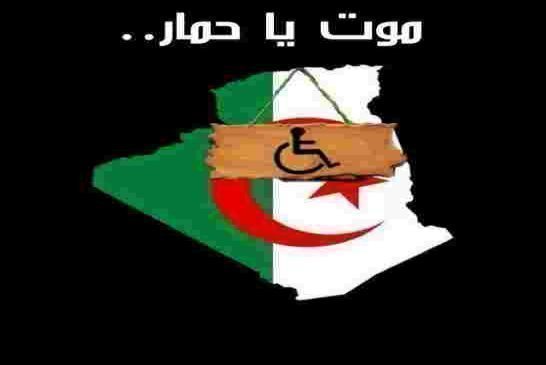 بن بيتور يرى أن استرجاع الأموال المنهوبة المودعة في الخارج عملية صعبة ومعقدة