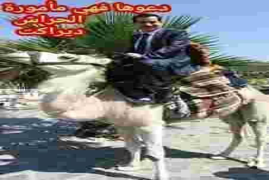 عمر غول يتنازل عن الحصانة البرلمانية