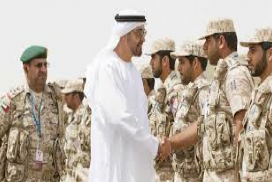 الإمارات تقلص وجودها العسكري في اليمن بسبب التوترات بين الولايات المتحدة وإيران