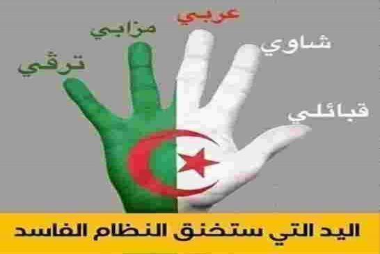 الشعب الجزائري يوجه رسالة لبقرة الاركان "دولة مدنية ماشي عسكرية  ترافق علم جزائري ضخم مرقم ب48 و لاي
