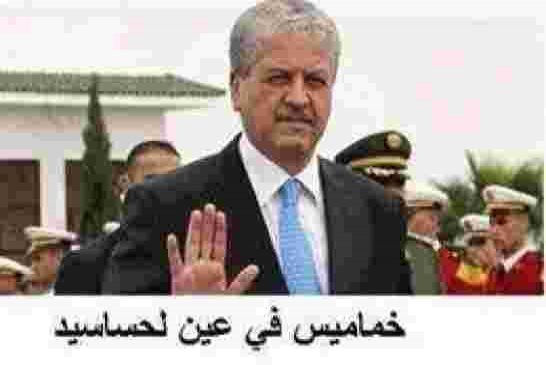 إيداع نجل أبو الفقاقير سلال السجن