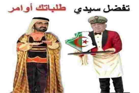 النفوذ الإماراتي في الجزائر والملاذ الآمن لرؤوس الأموال المهرّبة