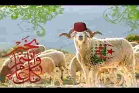 عيد أضحى جزائري برائحة ديمقراطية كاملة غير منقوصة