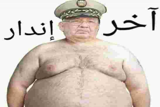 زيتوت: الجمعة 26 صفعة قوية لقايد صالح وجنرالاته